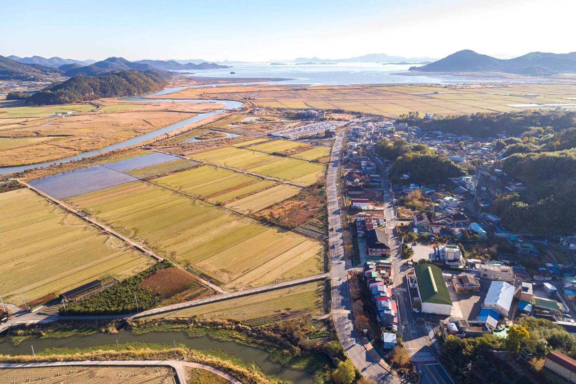 Suncheonbay Reed Field Pension Extérieur photo