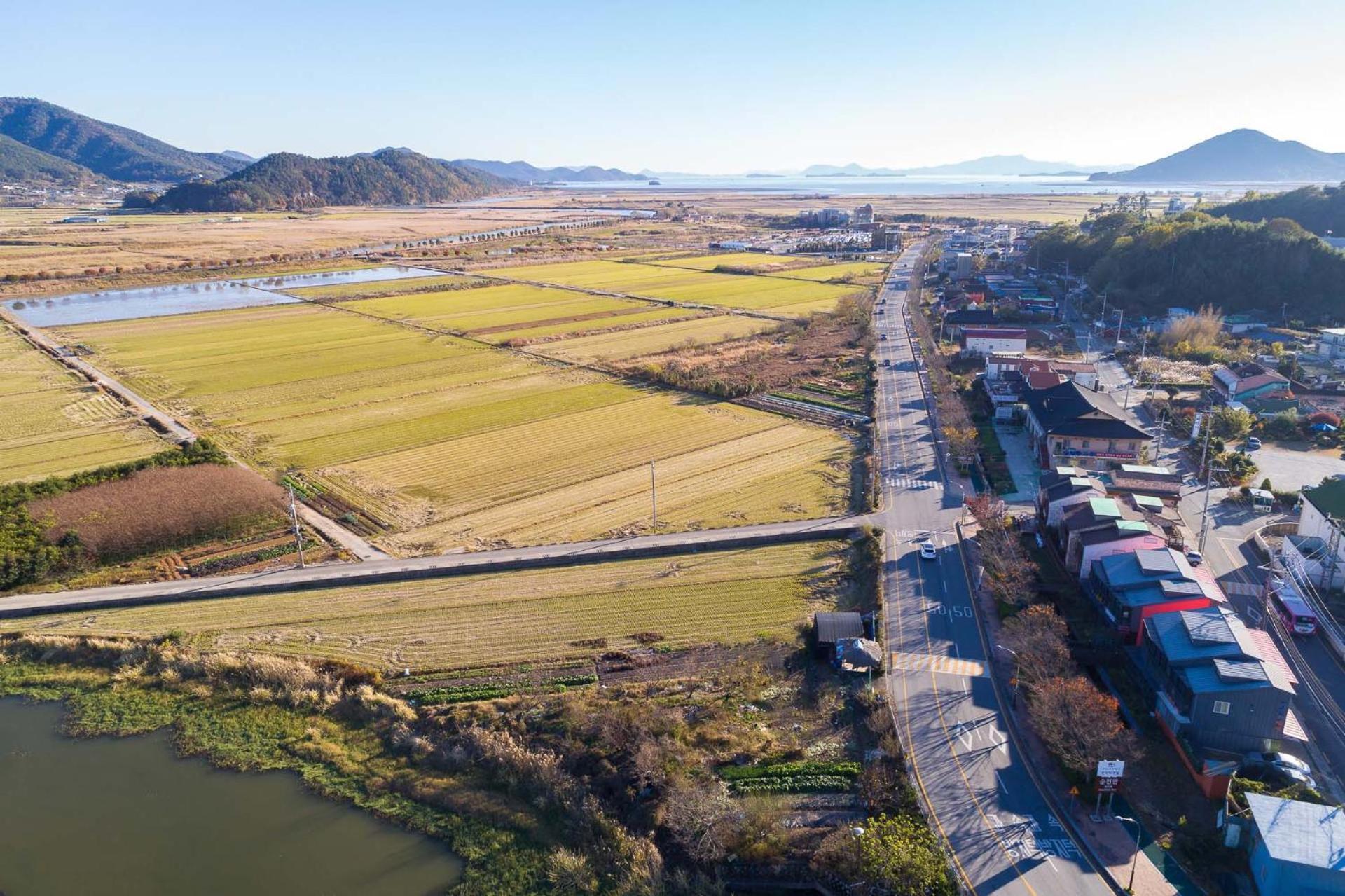 Suncheonbay Reed Field Pension Extérieur photo