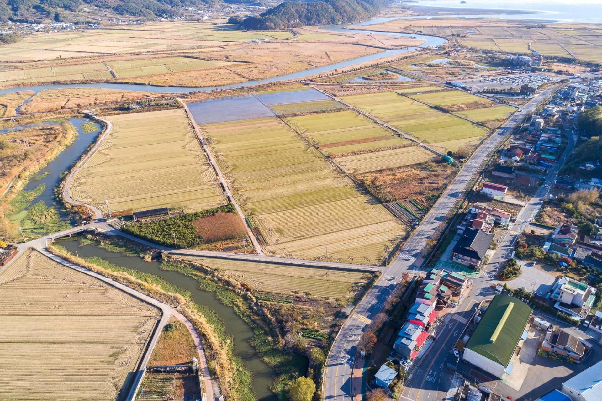 Suncheonbay Reed Field Pension Extérieur photo